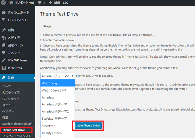 Theme Test Driveを有効化