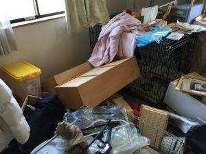 室内は手が付けられない状態でした