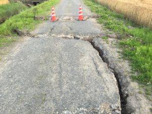 いつもの散歩コースも亀裂だらけでした
